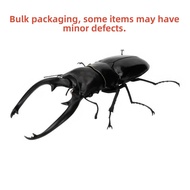 Insect Simulation Model Beetle Rhinoceros Beetle Tiger Beetle