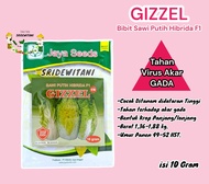 Bibit Sawi Putih Hibrida GIZZEL F1 10 gram JAYA SEED Setara Benih LEONI SIOLA NOGON