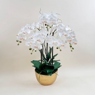 Akara Dokmaii กระถางกล้วยไม้ประดิษฐ์ขนาดใหญ่ Artificial Orchid arrangement in ceramic pot