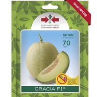 EASTWEST SEED- BENIH ROCK MELON GRACIA F1 HIBRID