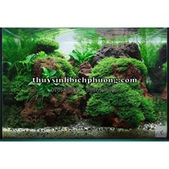 Red LAVA STONE | Specialized STONE FOR AQUARIUM SETUP DESIGN