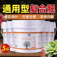 Slow-Release Fertilizer Compound Fertilizer Nitrogen Household Flower Universal Vegetable Fruit Tree