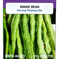 BIJI BENIH KACANG PANJANG ULAR @ SNAKE BEAN 20 BIJI)