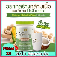 ส่งฟรี Protein VEGAMAE โปรตีนพืช ได้จากถั่วลันเตาสีทอง