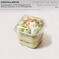 Square Cream Cupcake Box