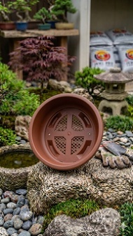 Pot Bonsai Oval 40 BV40 Bonsai Plastik 30 35 Coklat Jumbo