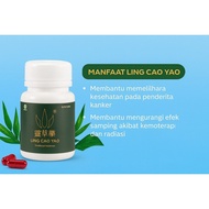 LING CAO YAO cancer MEDICINE ORIGINAL cancer MEDICINE 30 CAPSULES cancer MEDICINE TUMOR LUMPS MIOM c
