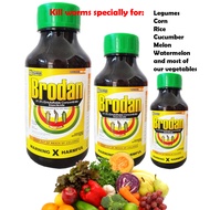 Brodan - insecticide and for vegetables worms prevention