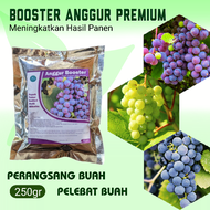 pupuk anggur cepat berbuah lebat booster organik tanaman anggur terbaik ampuh perangsang bunga cocok buat anggur import anggur lokal dan anggur brazil