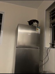 ZANUSSI雪櫃 還價即成