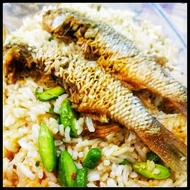 MAKSU Ikan Belanak Masam