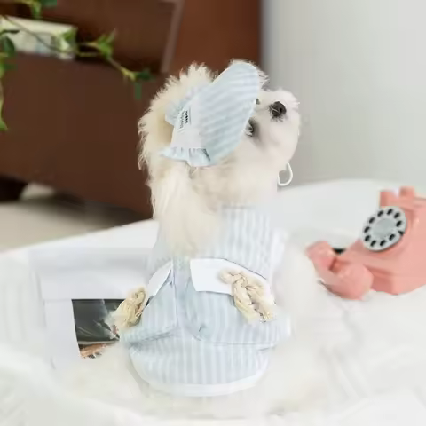 Cute Pet Clothes Dog Summer Vest With Hat Pet Clothes Cute Dog Pocket Clothes Schnauzer Two Legged C
