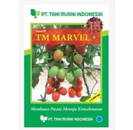 Benih Bibit Tomat TM MARVEL F1 10gram | 3000butir