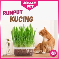 [JolleyPet] Rumput Kucing Cat Grass Seed Set Biji Benih Rumput Kucing Murah Healthy Cat Grass For Ca