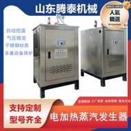 電加熱蒸汽發生器 全自動控制電蒸汽鍋爐 工業商用蒸汽機