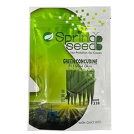 Benih Bendi Green Concubine 338 F1 Hybrid Okra Spring - ( 200g ) 👍 💯
