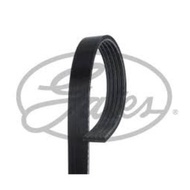 Front Engine Belt 5PK TOYOTA SOLUNA Water Drop Tail Light AL50 5AFE 1.5 1996-2003