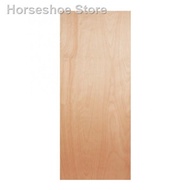 ☍✺Plywood Flush Door Pintu