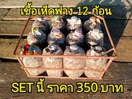 เชื้อเห็ดฟาง พร้อมใช้ จำนวน 12 ก้อน