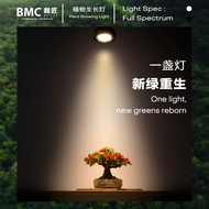 BMC WRGB Full Spectrum LED Plant Grow Light Par30 50W Plant Light Indoor Plant Light Light Bonsai Li