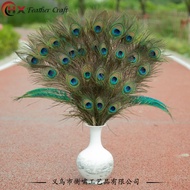 Natural Peacock Feather