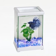 OF OCEAN FREE - 内置LED燈鬥魚缸 (白色燈框)