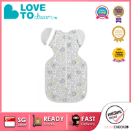 Love To Dream Swaddle Up Transition Bag Bamboo Lite L