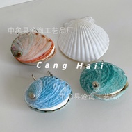 Ins Style Natural Abalone Shell Notepad Notepad Painting Book New Zealand Abalone Shell Shell Book C