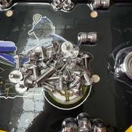 DIAMOND SALAYA - Full set of Fuled car screws model Salaya D3 (Free temple feathers)