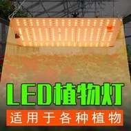 台灣現貨110V植物生長燈LED種植全光譜補光燈3000W智能調光室內2000W量子板植物燈220V促進多肉生長1500