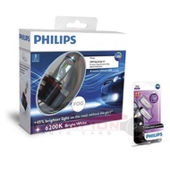 Car Light Bulb PHILIPS Led FOG H8/H11/H16 With Dimmer T10 6200K