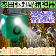 High light shines solar energy drives away wild beasts all n Strong light Four-Shot solar energy Hig