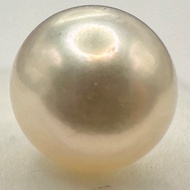 a1365 Akoya Pearl Loose Half-drilled 8.0–8.4mm Gem Jewelry Pre-owned Kyoto Japan K4U