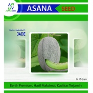 Seeds Hami JADE Asana Seed