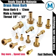 Brass Hose Barb Male & Female Hose Tail 6 8 10 12mm, Brass Pipe Fitting Connector, Water Fitting, Co