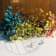 [CE3] Diamond Arrow Earrings