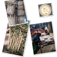 200g sá sùng khô nha trang