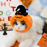 Cat Halloween Pumpkin Costume Cat Halloween Costumes Adjustable Cute Cats Halloween Pumpkin Hat for 