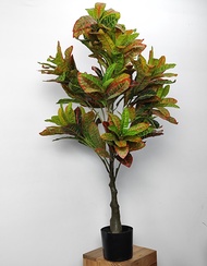 Pot Bunga Plastik Pohon Puring Macan Besar Artificial Ornamen Dekorasi Sudut Ruangan Plant COD PBP81