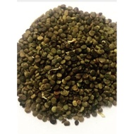 Biji Benih Indigofera  100 biji, RM 5.00, ( 300 biji dan 1500 biji Wholesale )