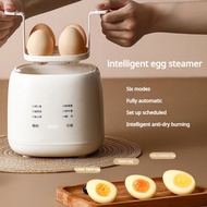 "Pengukus dan Rebus Telur Elektrik" Multi-Function Automatic Safe Power-off Electric Soft Hard Boile