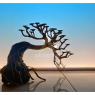 bonsai aquascape,aquarium decoration,driftwood