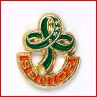 ⏈ ◳  ⏟ GSP PINS (twinkler, star, junior, senior, cadet,troop leader pin, WORLD PIN, GSP LOGO PIN)