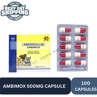 Ambimox Betamox Amoxicillin 500mg Capsule For Pets & HuⓂ️🅰️ns l 10 50 & 100 Caps