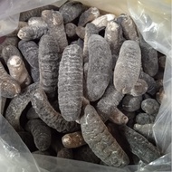 America Medium Thick Sea Cucumber 100g 金山中只厚秃参 gamat, Australia sea cucumber, sri lanka sea cucumber