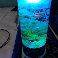 Aquarium mini hias plus lampu dan gelembung air