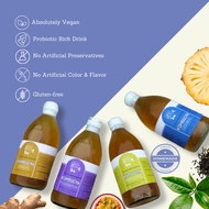 [Probiotic Drink] Premium Homemade Kombucha Tea Probiotic Drink 300ml