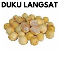 Duku Langsat |Dokong (1 pkt) Fresh Fruits [Klang Valley]