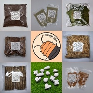 Isopod Colony Starter Kit