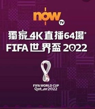 (收）now e 世界盃 通行證